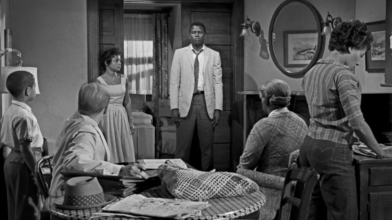 A Raisin in the Sun İndir - görsel 7