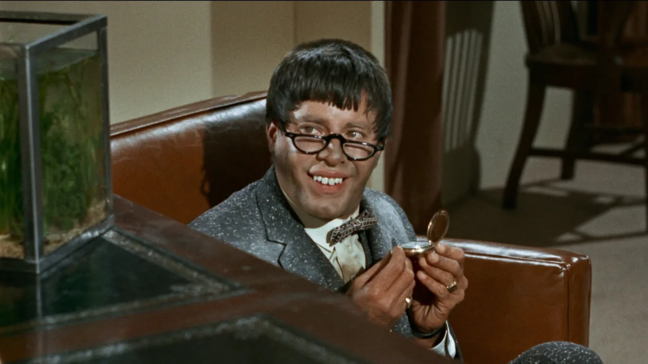 Jerry Lewis Aşk Hocası İndir - görsel 8