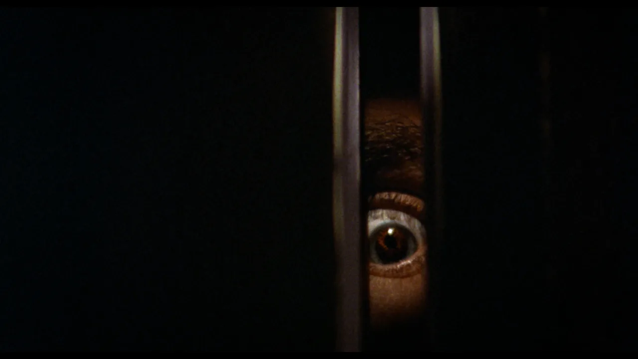 Black Christmas İndir - görsel 4