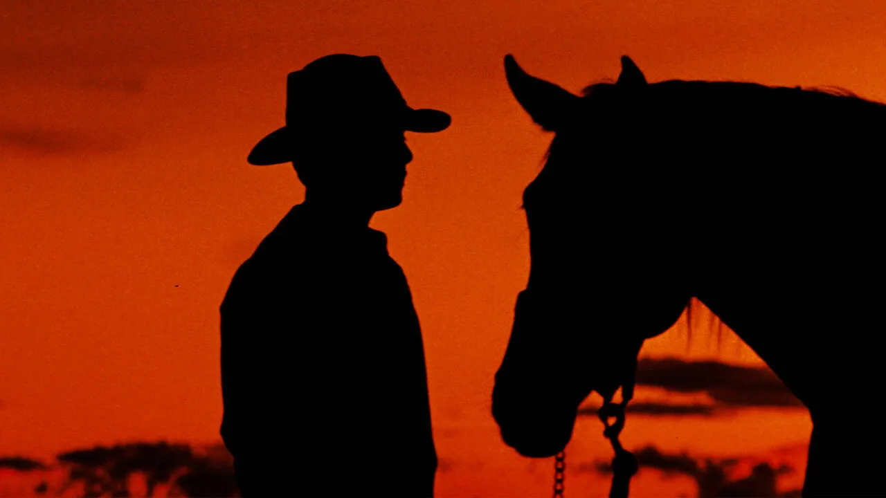 The Man from Snowy River - görsel 7