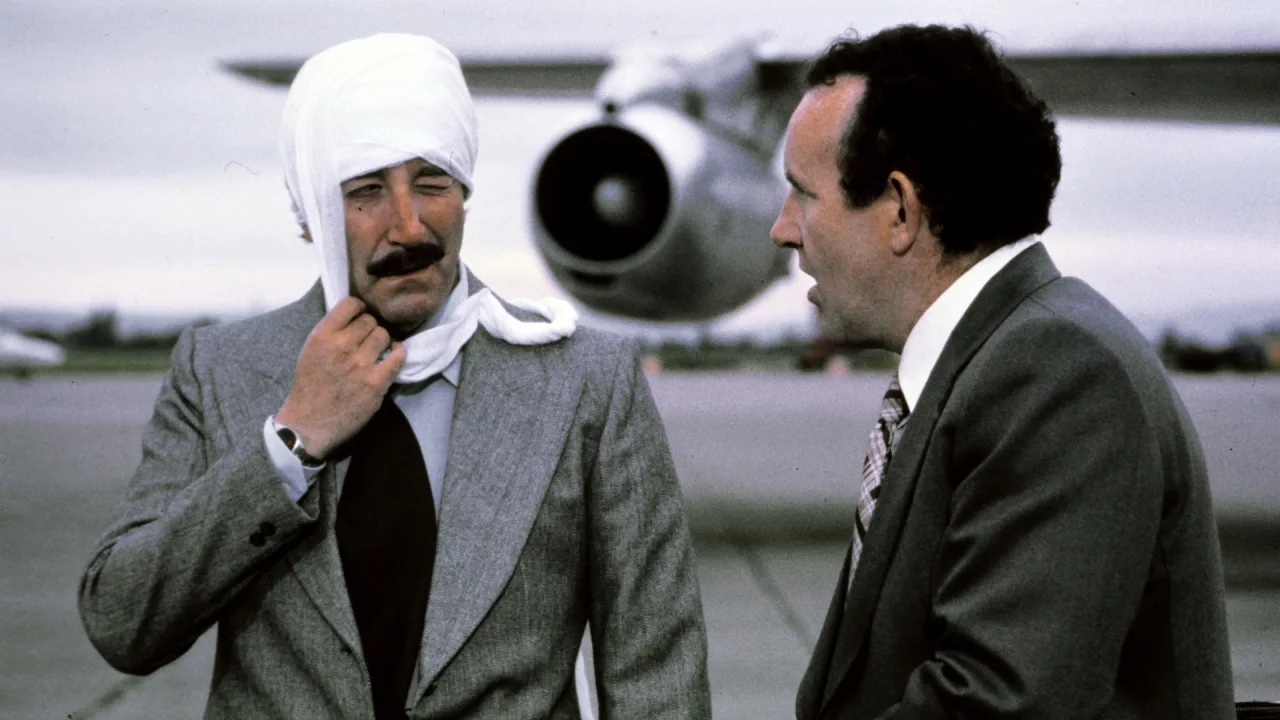 Pembe Panterin İzinde İndir - görsel 6