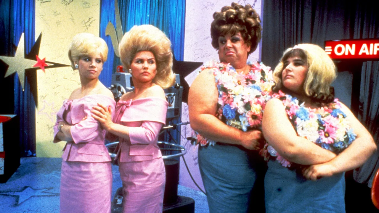 Hairspray İndir - görsel 2
