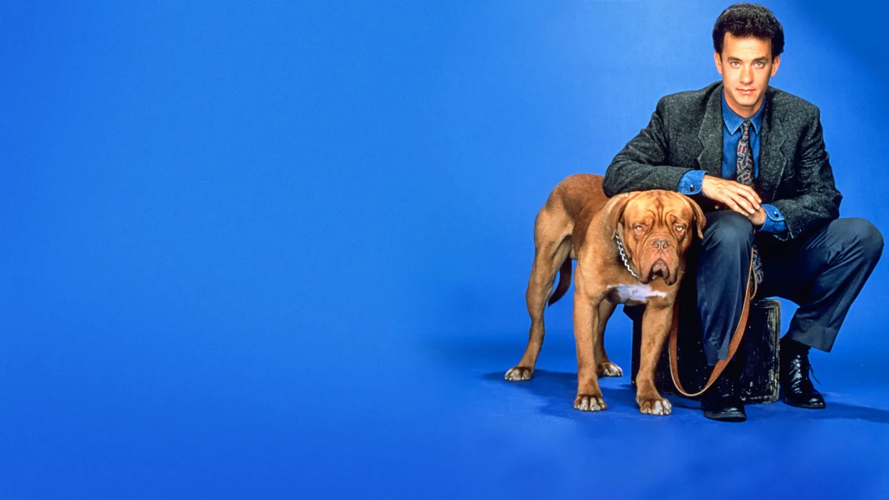 Dikkat Köpek Var İndir - görsel 4
