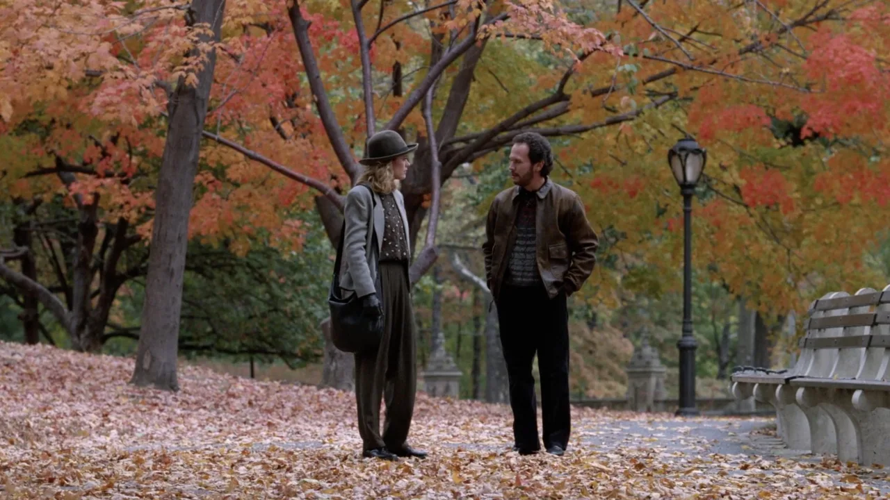 Harry Sally ile Tanışınca İndir - görsel 1