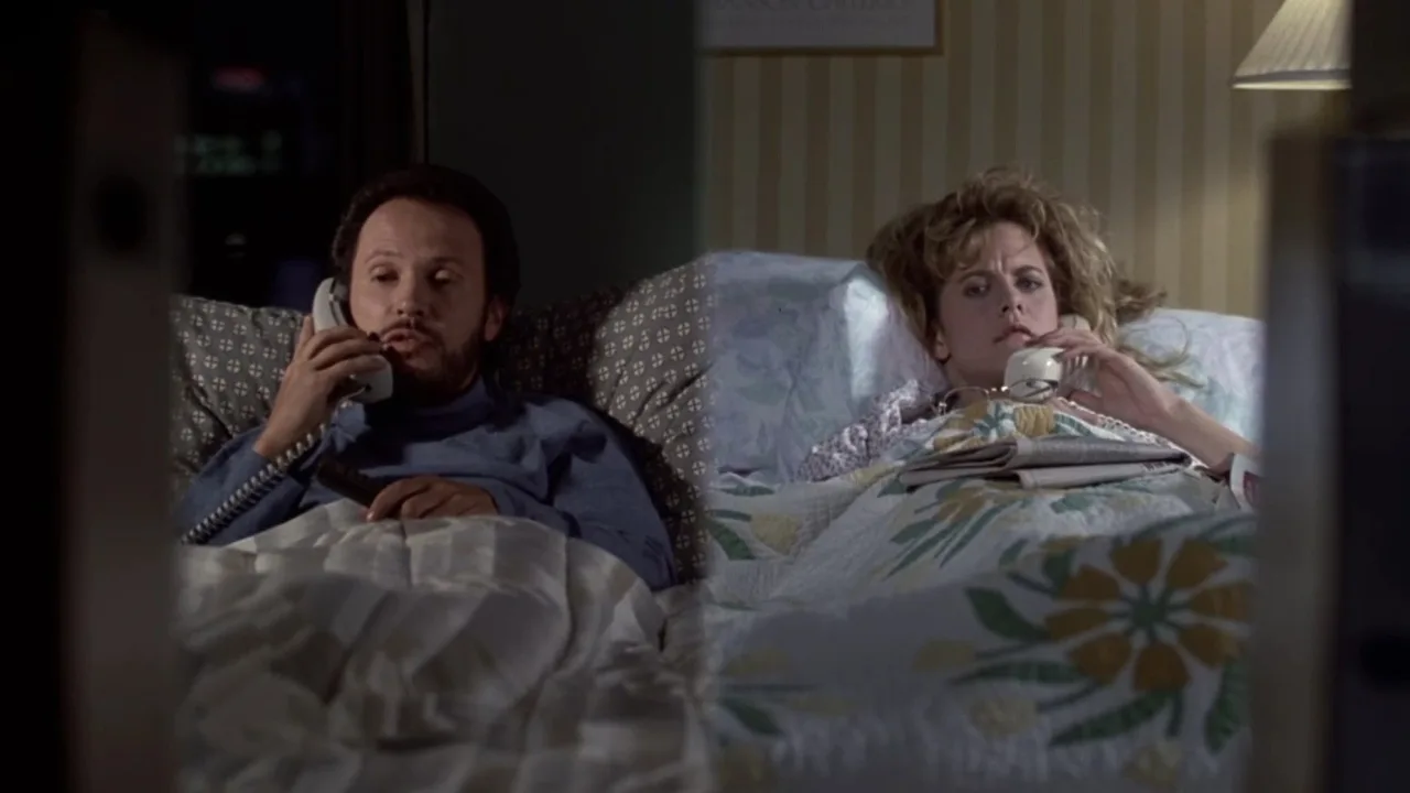 Harry Sally ile Tanışınca İndir - görsel 8