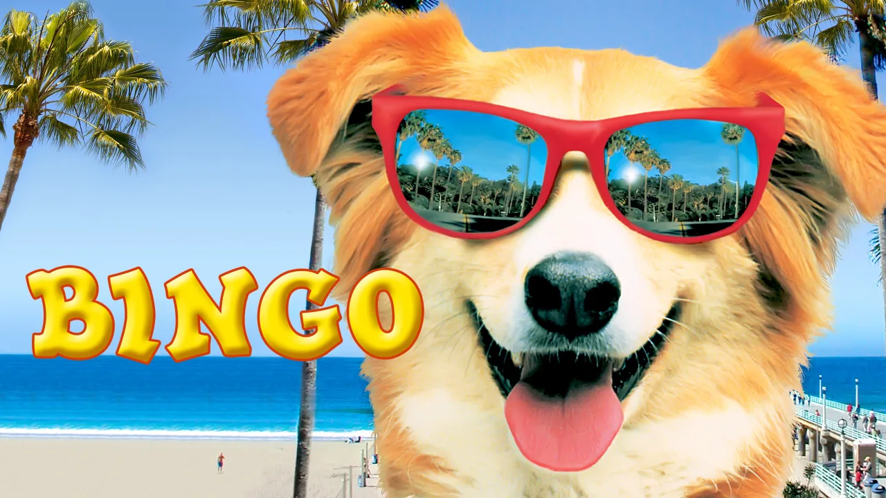 Kahraman Köpek Bingo İndir - görsel 5