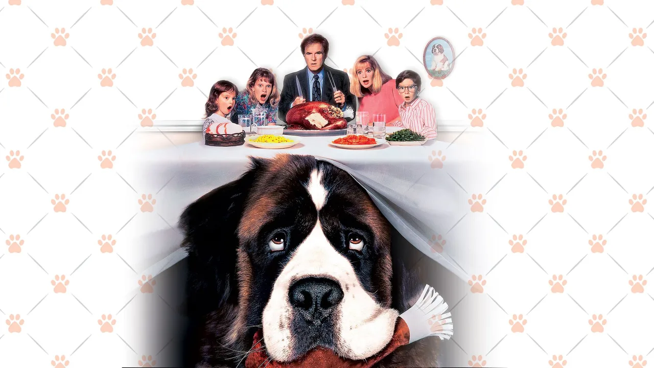 Afacan Köpek Beethoven İndir - görsel 1