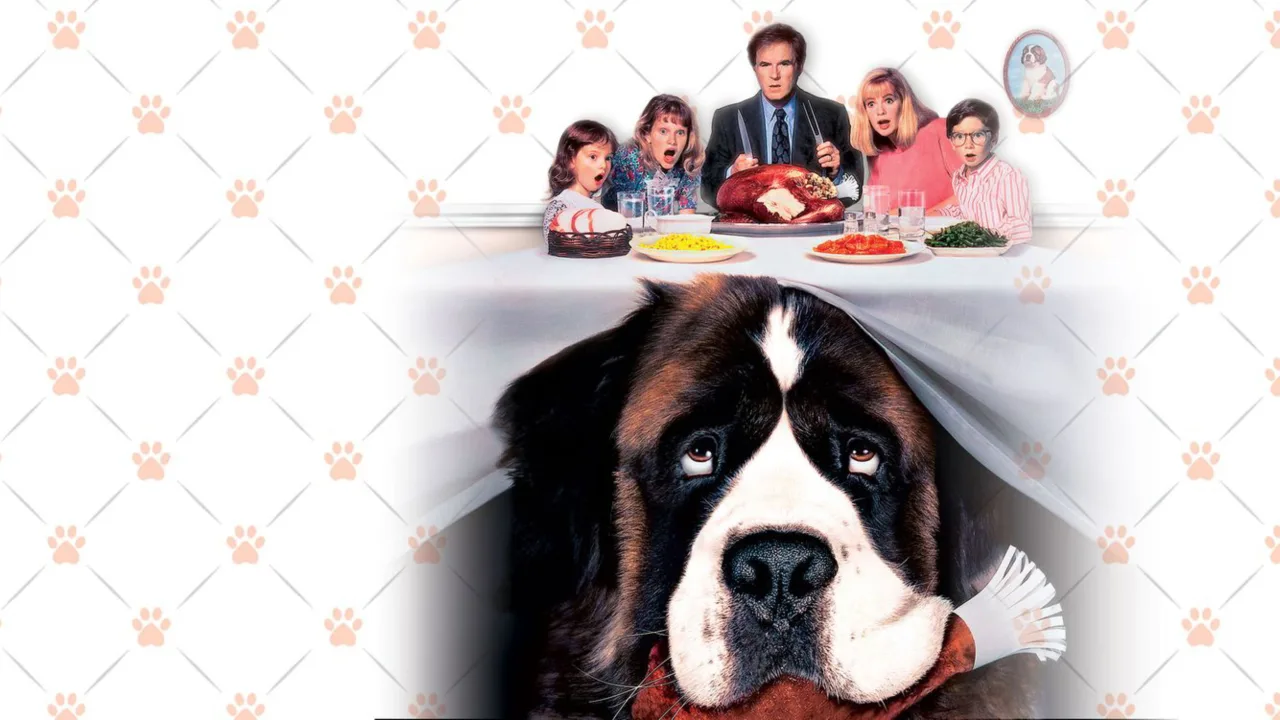 Afacan Köpek Beethoven İndir - görsel 2