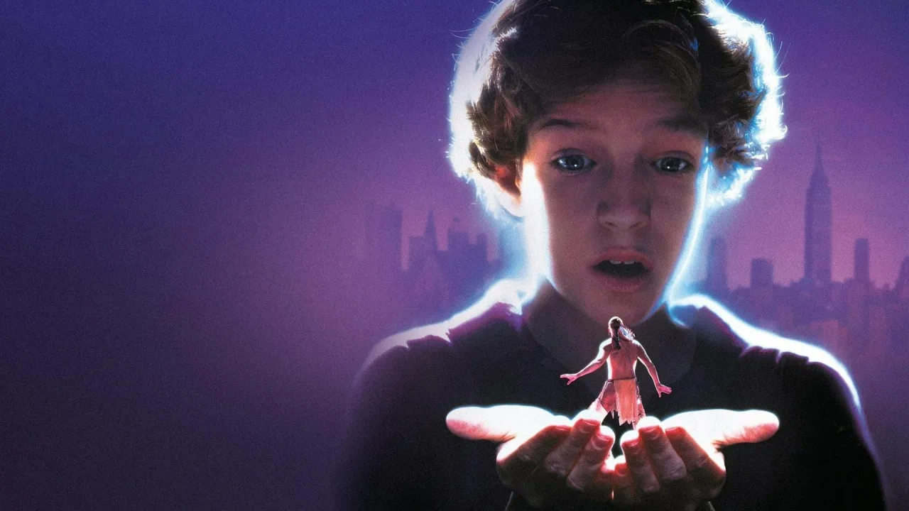The Indian in the Cupboard İndir - görsel 1