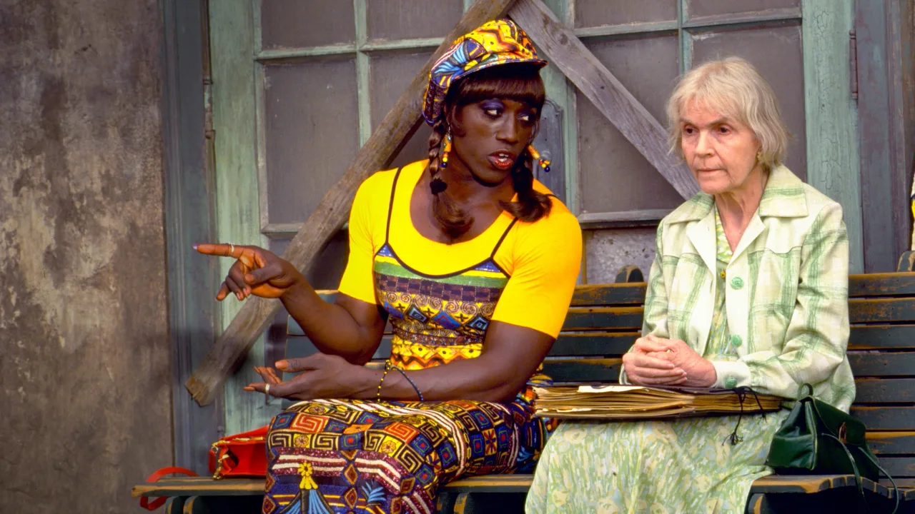 Wong Foo'ya Teşekkürler! İndir - görsel 10