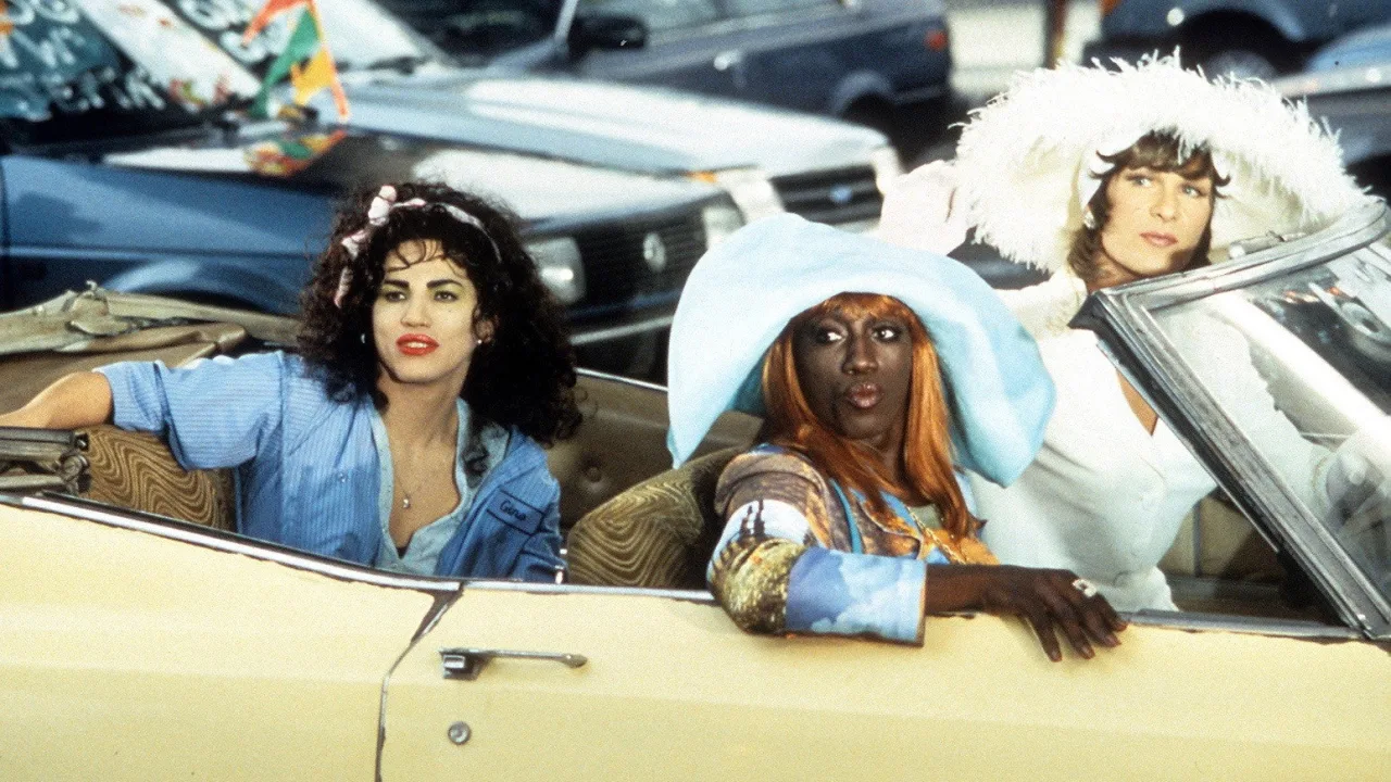 Wong Foo'ya Teşekkürler! İndir - görsel 4