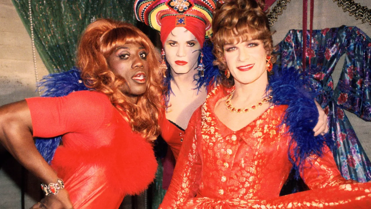 Wong Foo'ya Teşekkürler! İndir - görsel 6