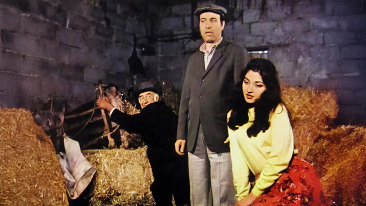 Tokatçı İndir - görsel 1