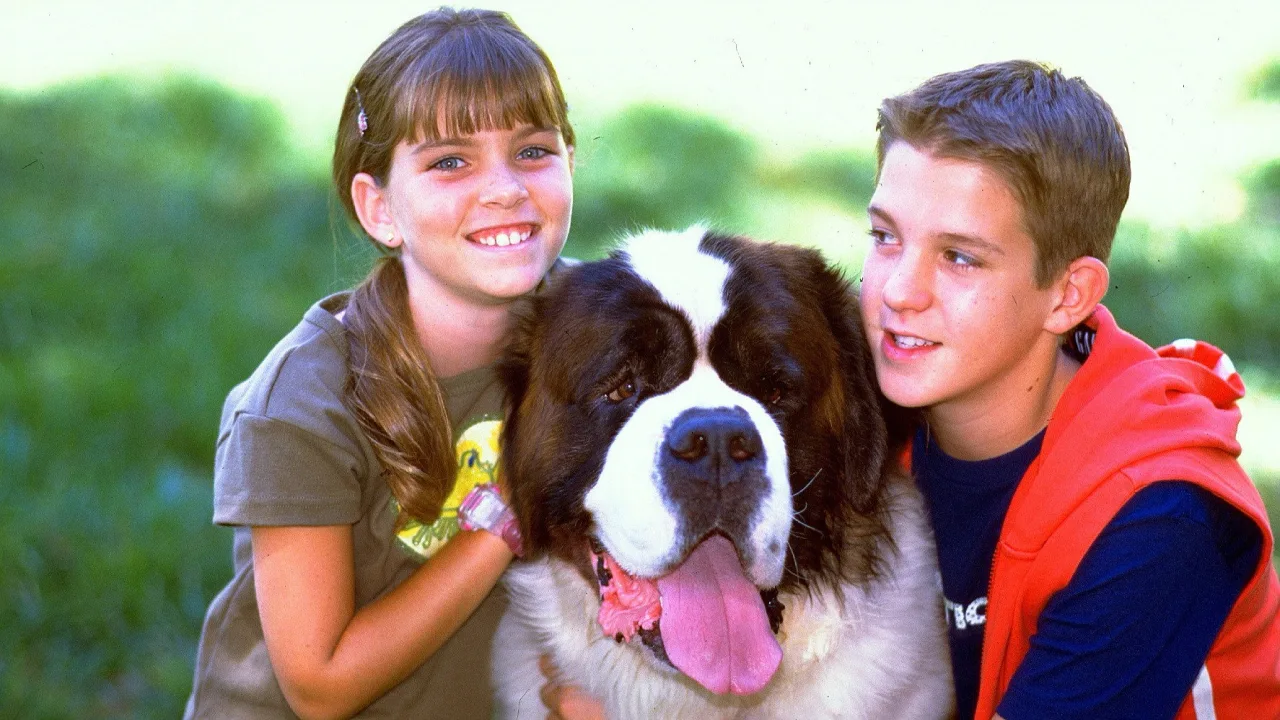 Afacan Köpek Beethoven 4 - görsel 4