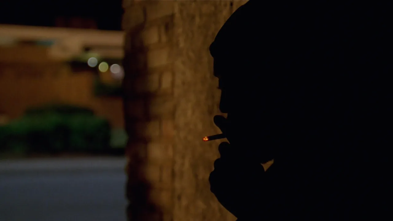 The Wire 1080p İndir - görsel 9