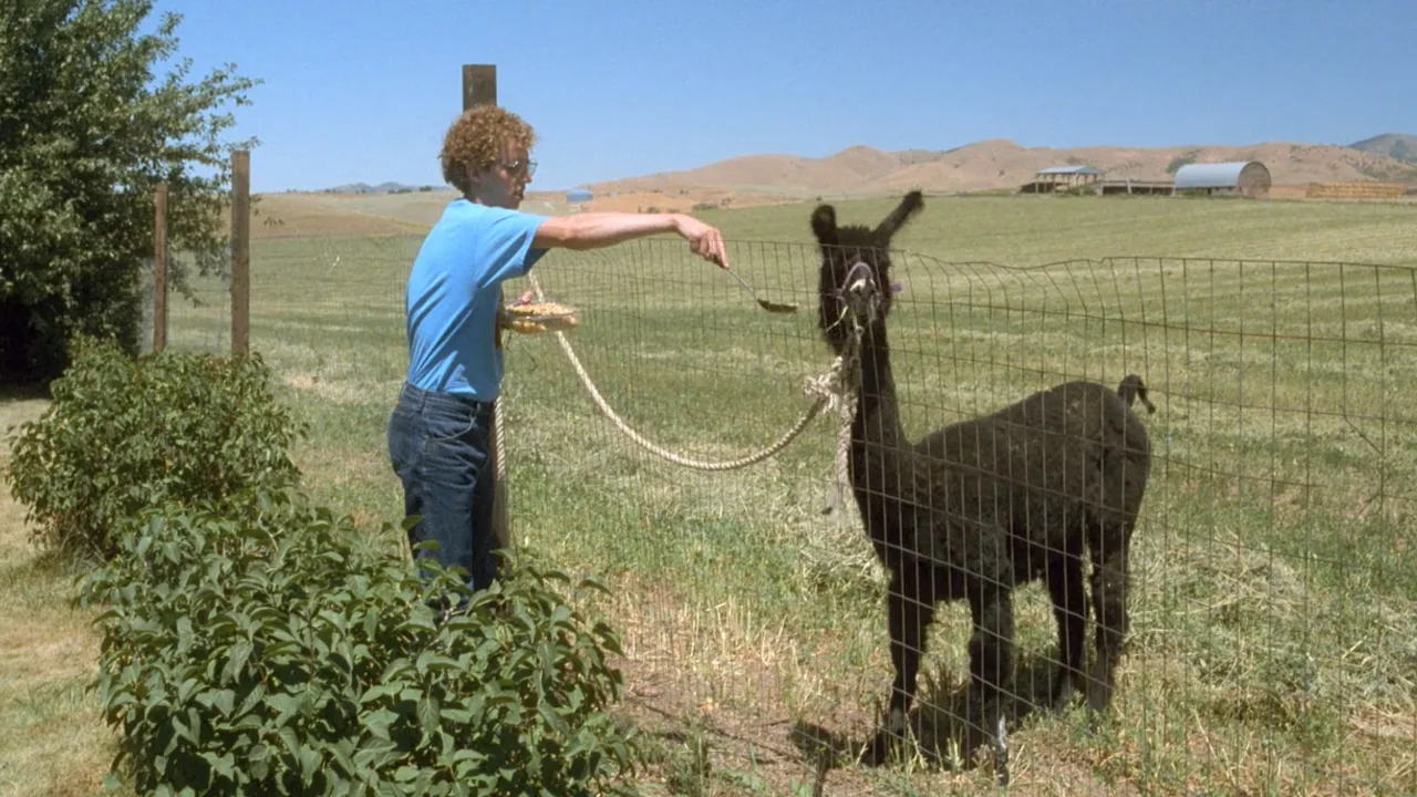 Napoleon Dinamit İndir - görsel 5