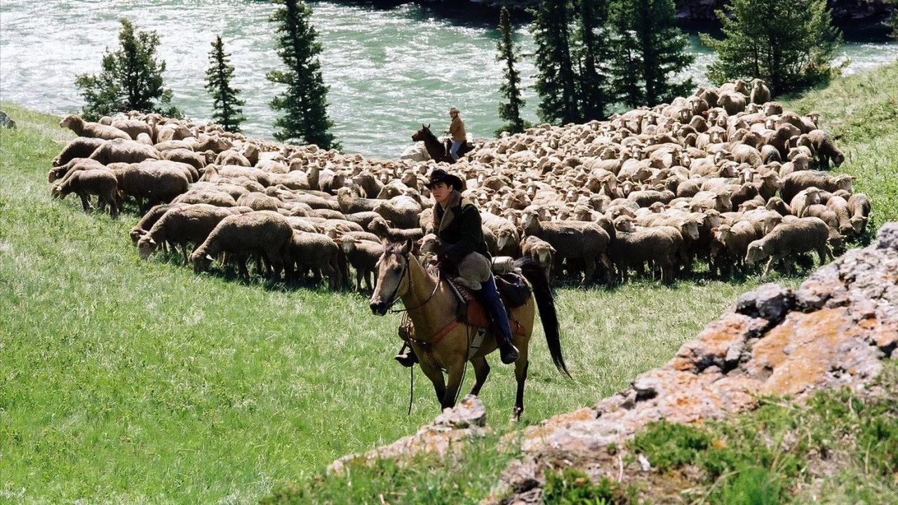 Brokeback Dağı İndir - görsel 3