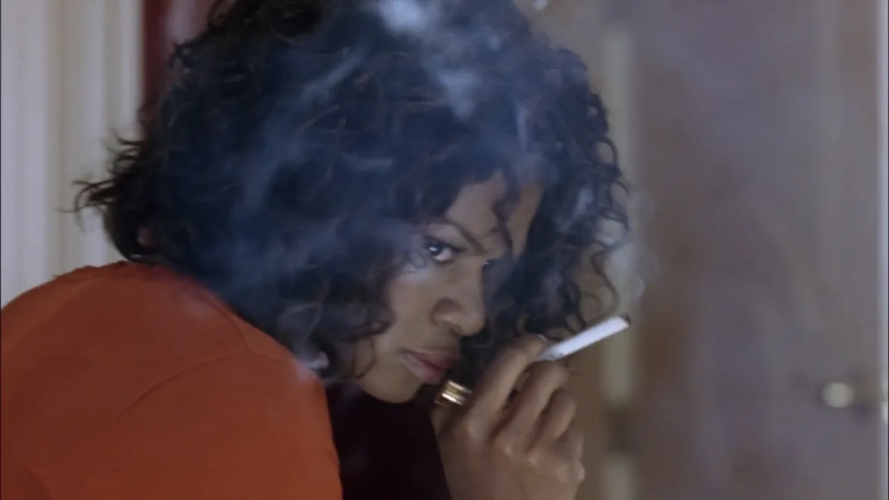 Diary of a Mad Black Woman İndir - görsel 8