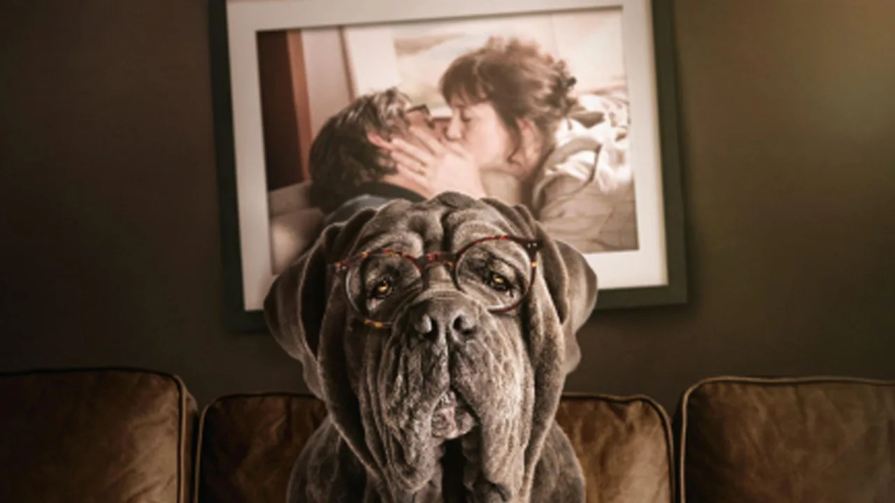 Benim Şapşik Köpeğim İndir - görsel 2