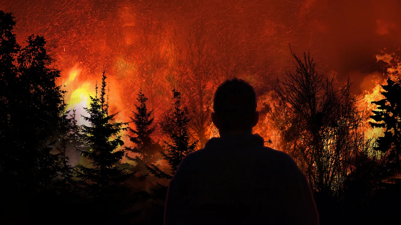 Witness to Disaster 1080p İndir - görsel 1
