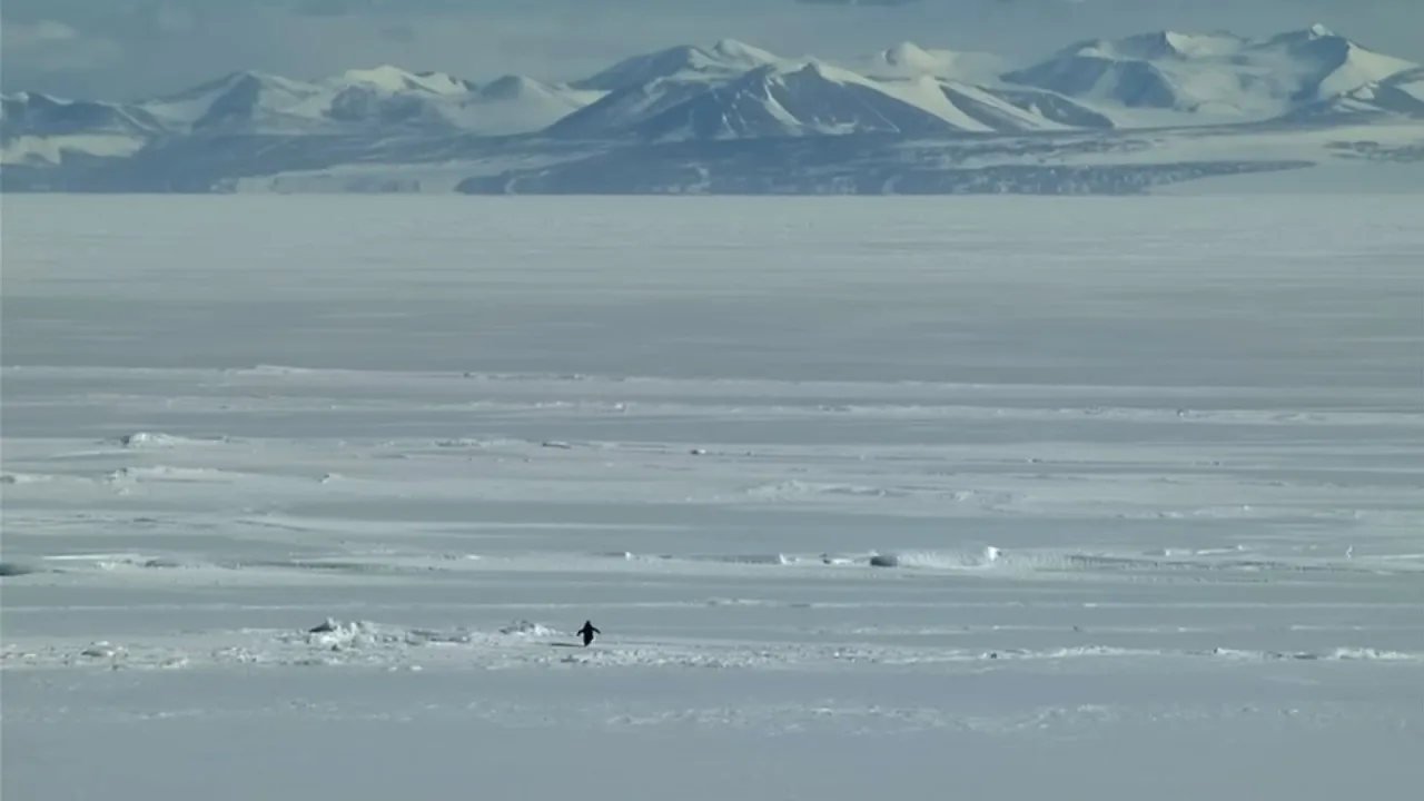 Encounters at the End of the World İndir - görsel 2