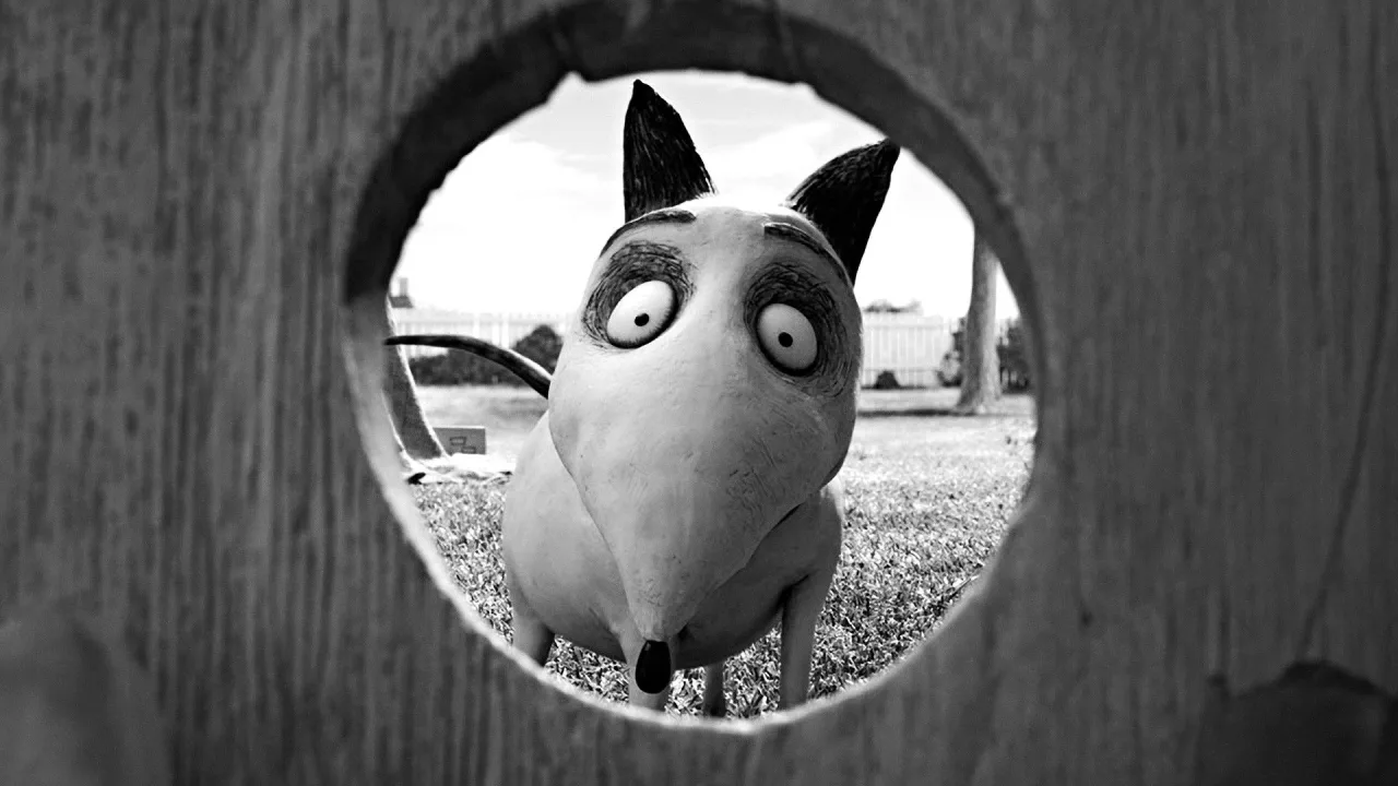 Frankenweenie İndir - görsel 7
