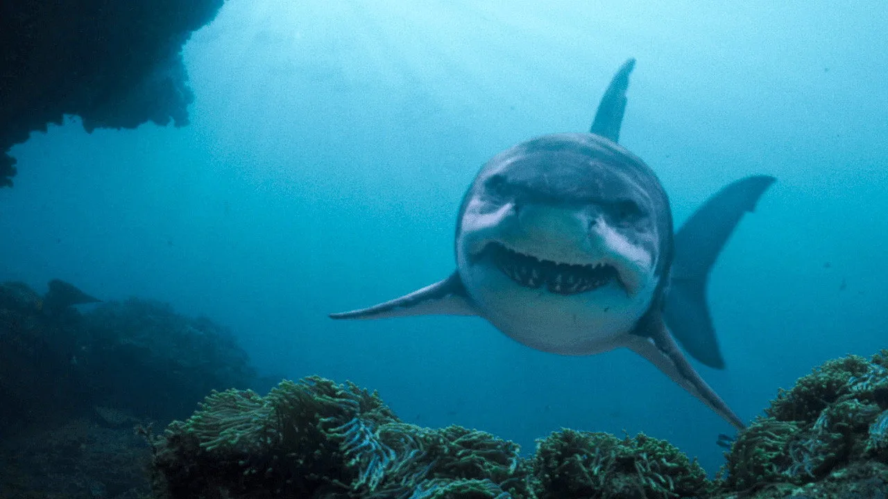 Deep Blue Sea 3 İndir - görsel 6