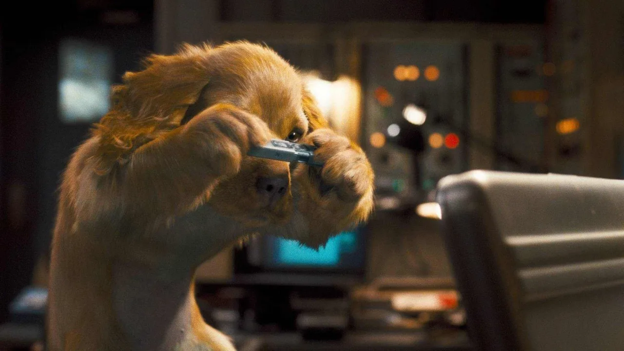 Kediler ve Köpekler 2: Kitty Galore'un İntikamı İndir - görsel 3
