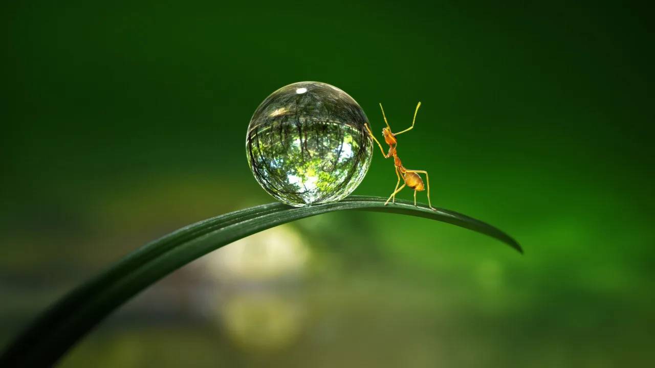 Tiny World 1080p Altyazılı İndir - görsel 4