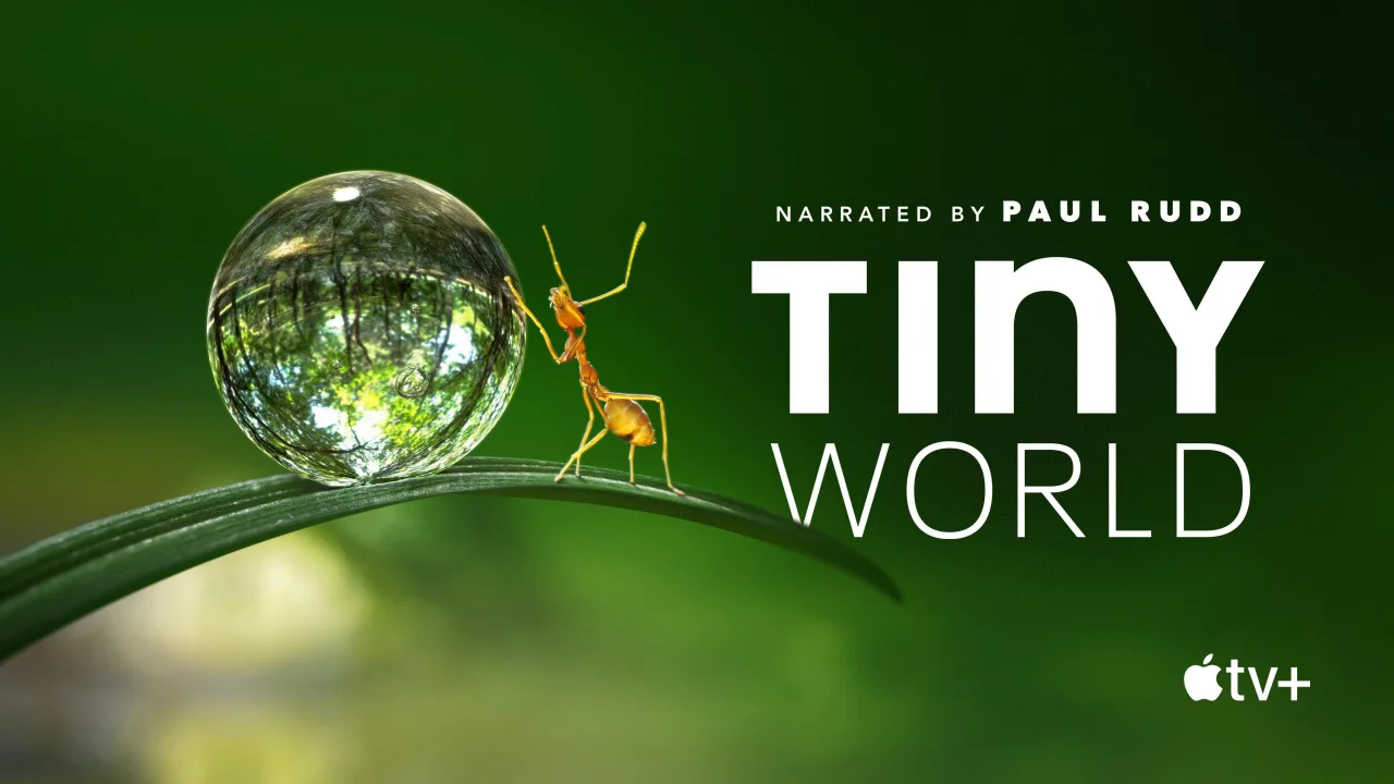Tiny World 1080p Altyazılı İndir - görsel 7