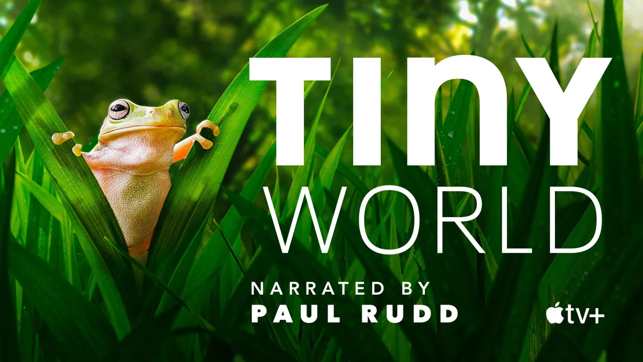 Tiny World 1080p Altyazılı İndir - görsel 8