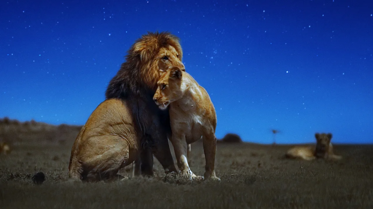 Earth at Night in Colour 1080p Altyazılı İndir - görsel 4
