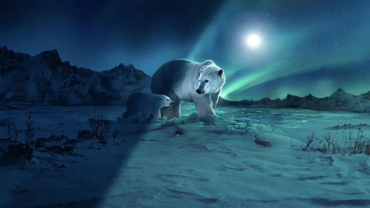 Earth at Night in Colour 1080p Altyazılı İndir - görsel 5