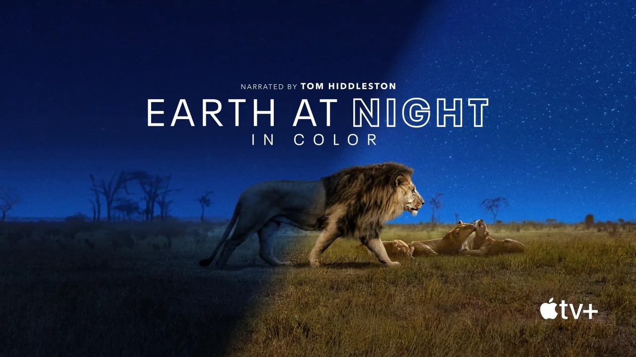 Earth at Night in Colour 1080p Altyazılı İndir - görsel 6