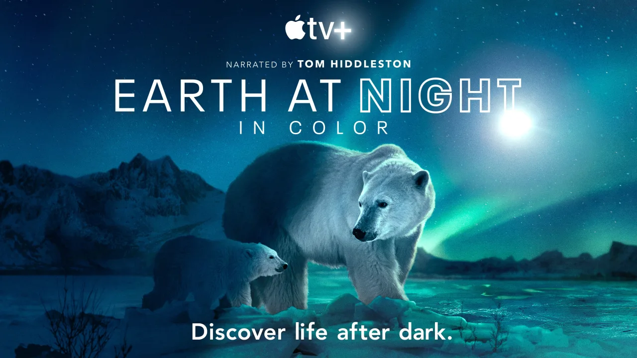 Earth at Night in Colour 1080p Altyazılı İndir - görsel 7