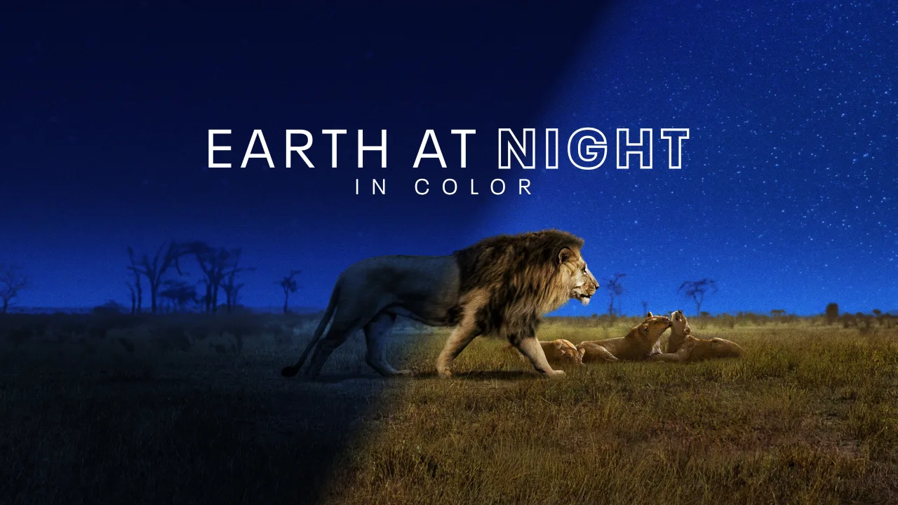 Earth at Night in Colour 1080p Altyazılı İndir - görsel 9