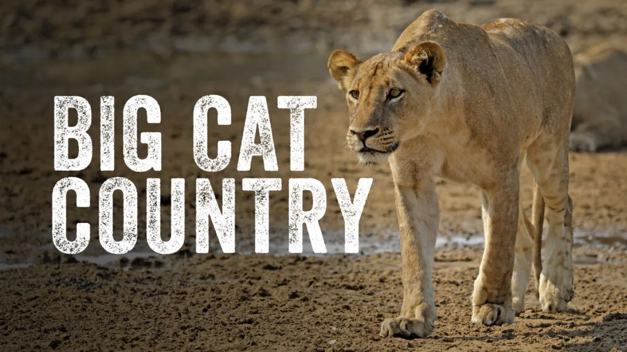 Big Cat Country 1080p İndir - görsel 2