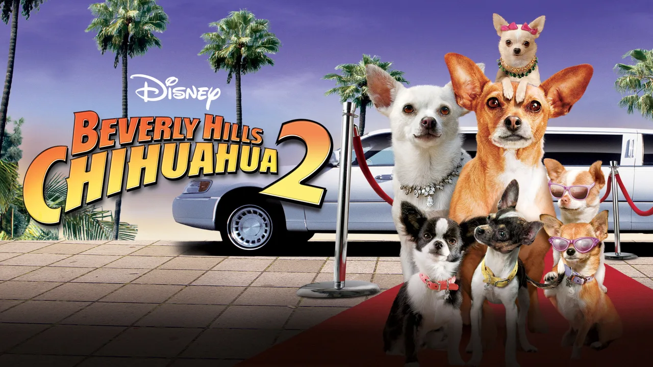 Beverly Hills Çuvava 2 İndir - görsel 5