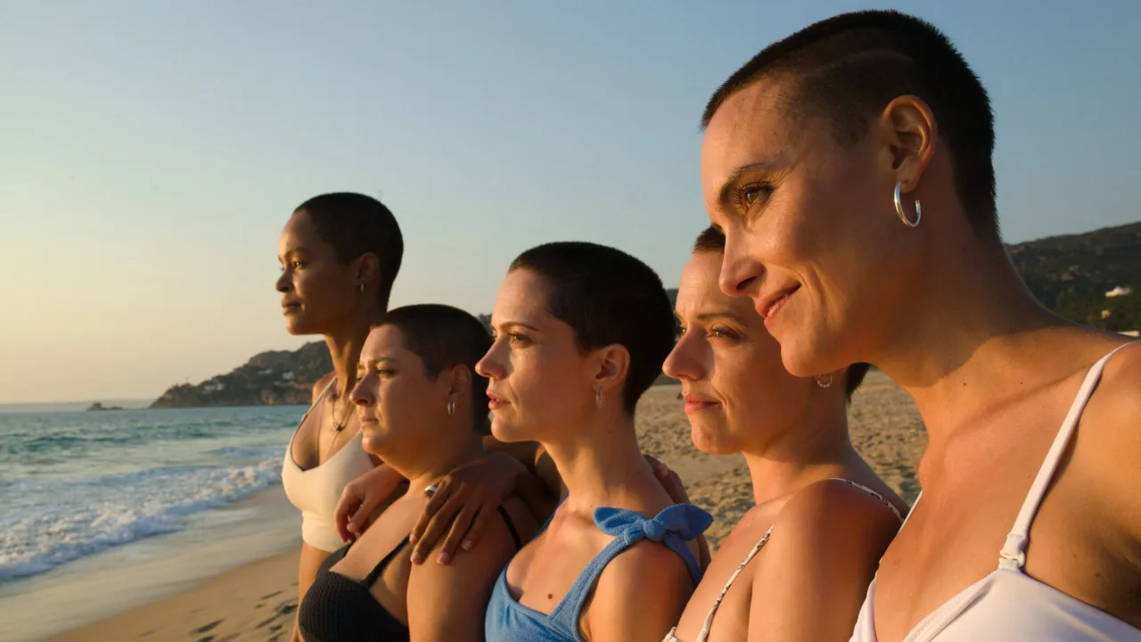 The Girls at the Back İndir - görsel 2