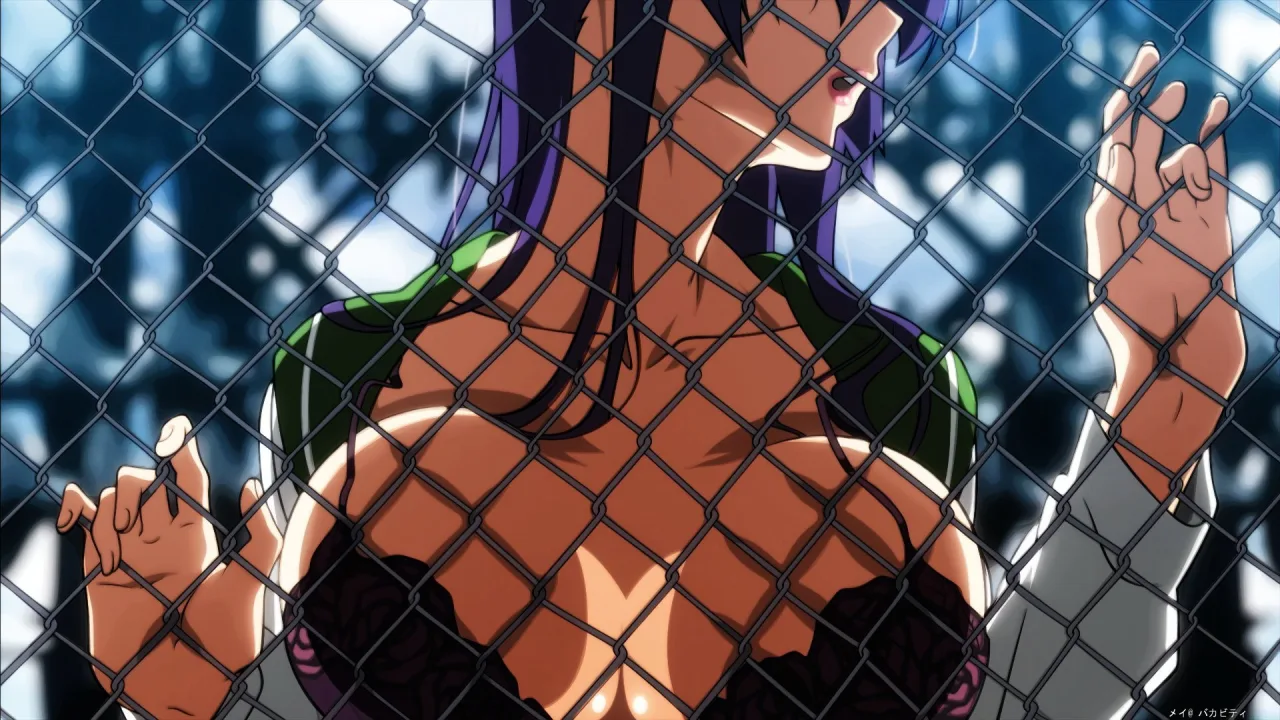学園黙示録 HIGHSCHOOL OF THE DEAD 1080p İndir - görsel 2