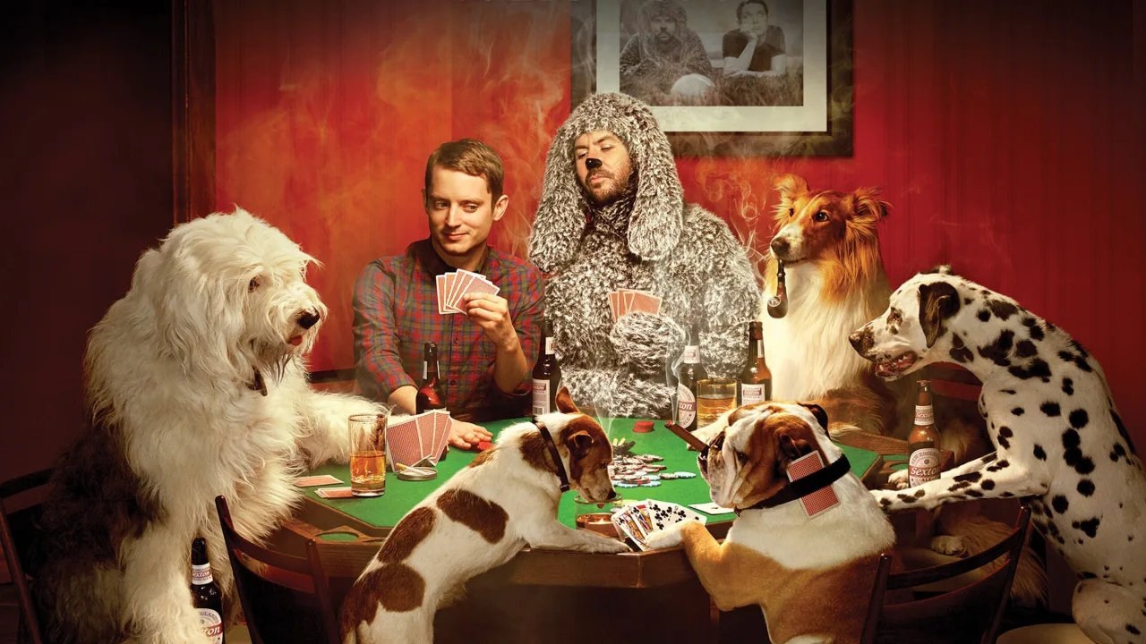 Wilfred 1080p İndir - görsel 1