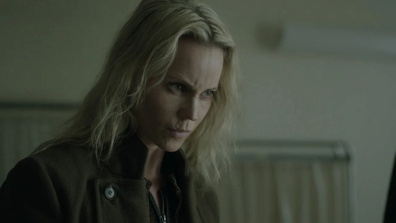 The Bridge (Köprü) 720p İndir - görsel 10