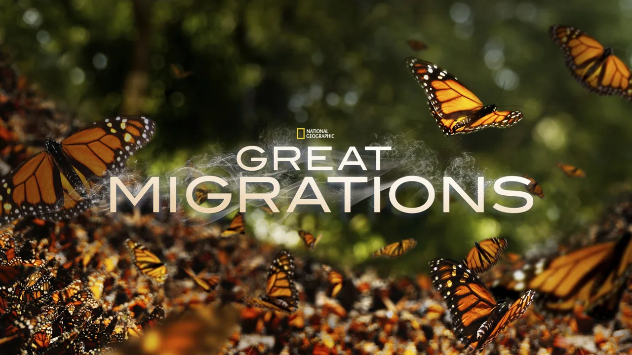 Great Migrations 1080p İndir - görsel 3