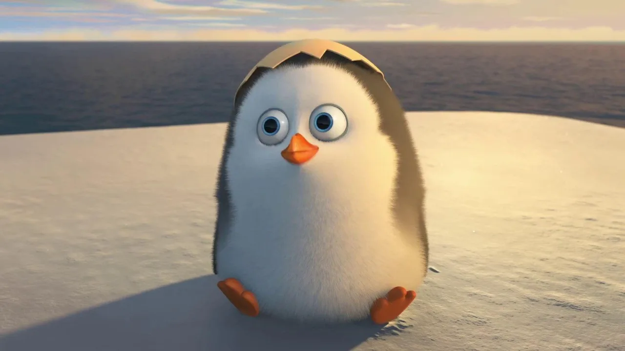 Madagaskar Penguenleri İndir - görsel 9