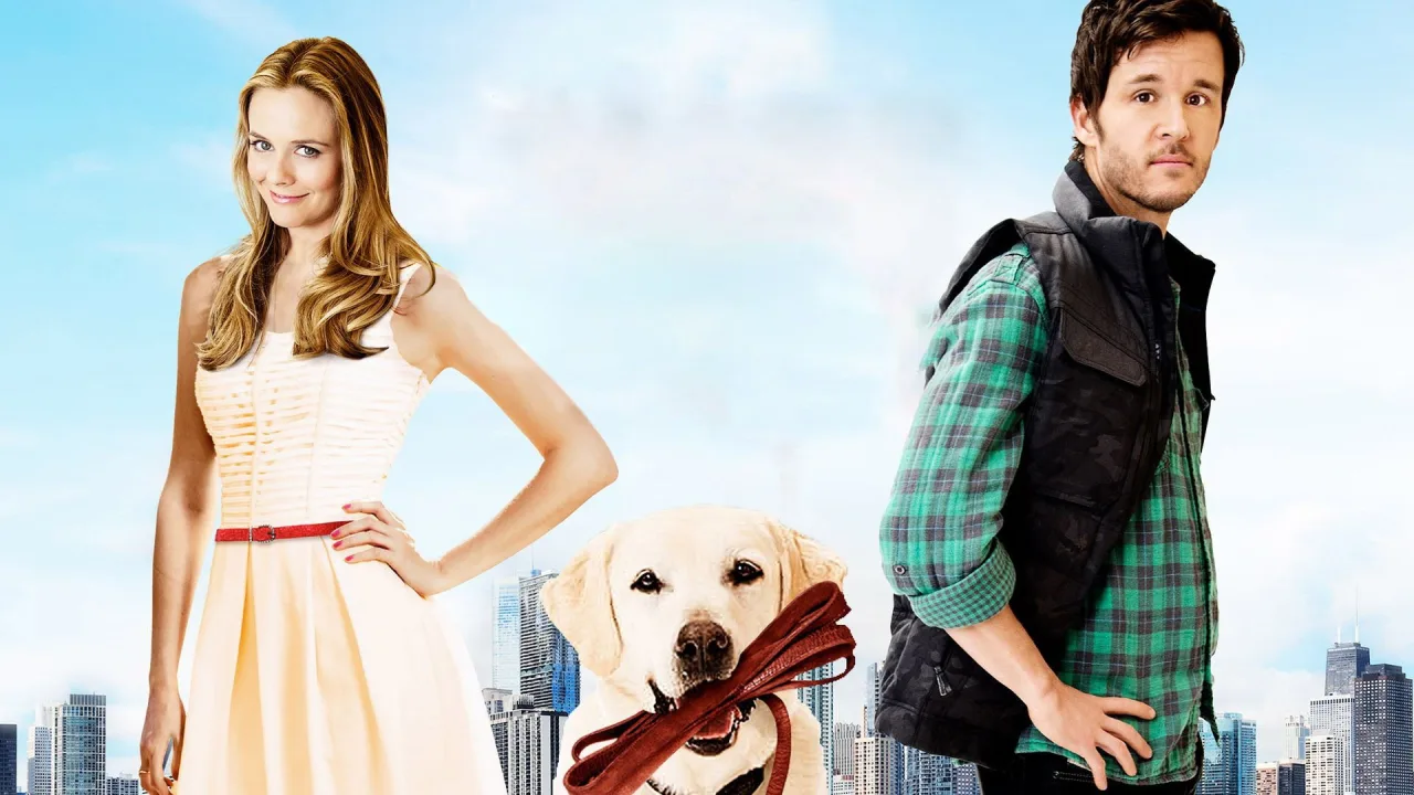 Who Gets the Dog? İndir - görsel 3