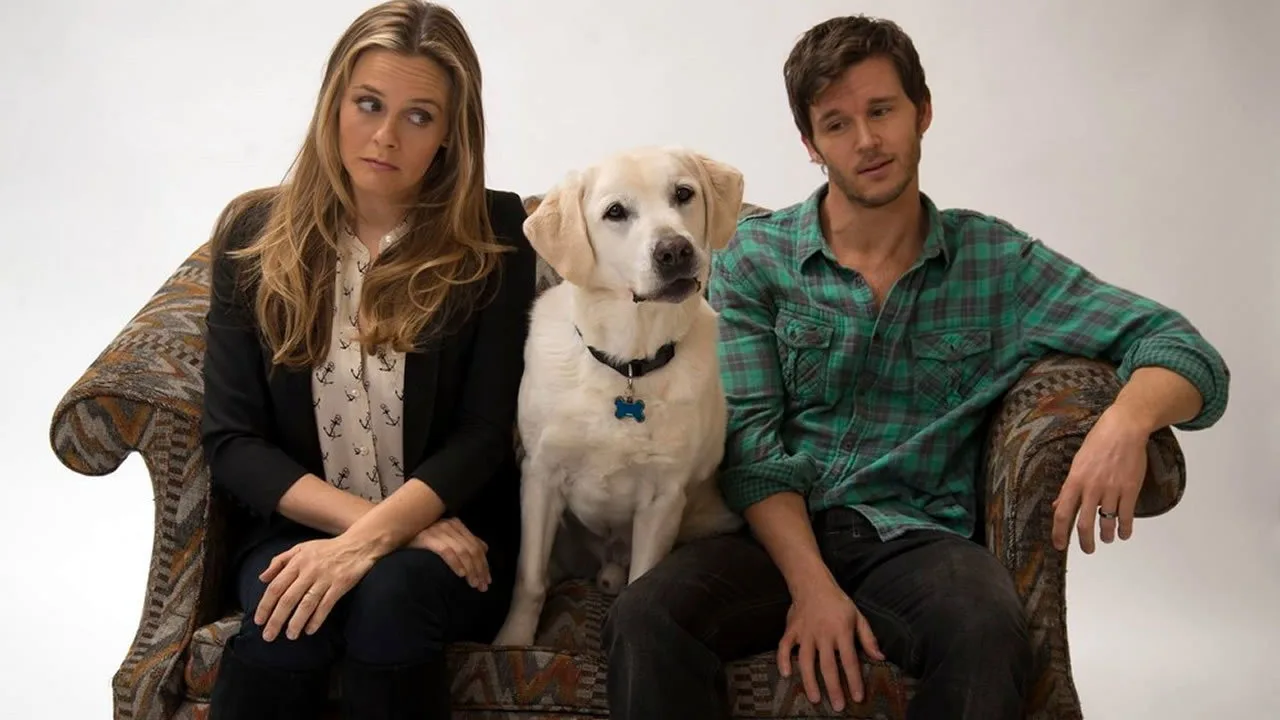 Who Gets the Dog? İndir - görsel 5