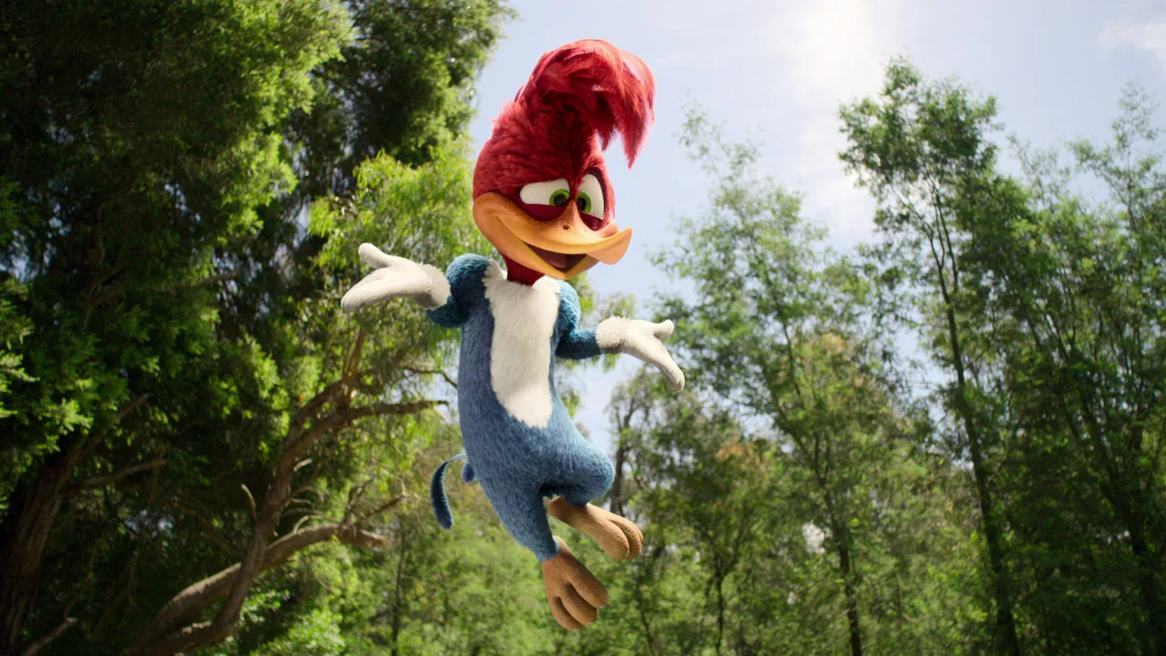 Ağaçkakan Woody Yaz Kampında - görsel 2
