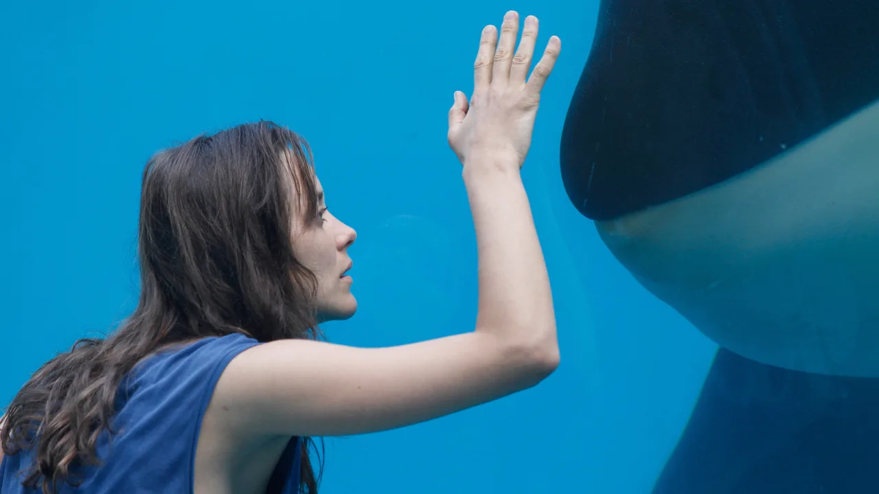Pas ve Kemik İndir - görsel 7