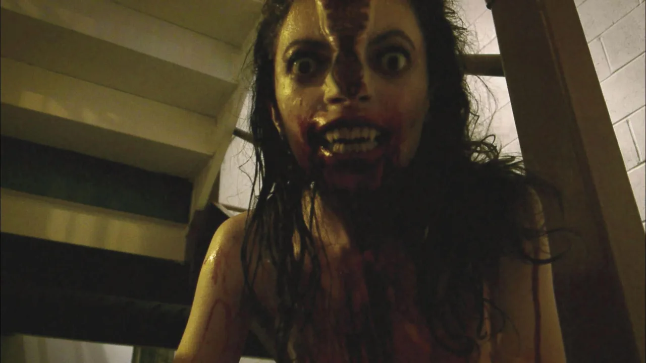 V/H/S İndir - görsel 2
