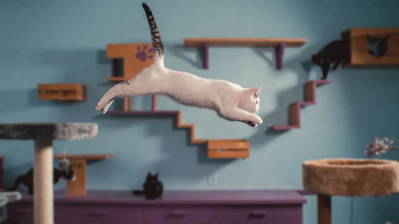 Inside the Mind of a Cat İndir - görsel 3